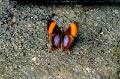 IMG_0179e