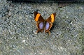 IMG_0180e