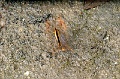 IMG_0182e