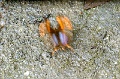 IMG_0184e