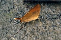 IMG_0186e