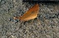 IMG_0187e