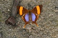 IMG_0198e