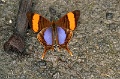IMG_0200e