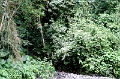 IMG_0250e