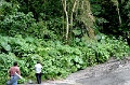 IMG_0251e