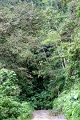 IMG_0289e