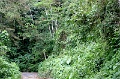 IMG_0291e