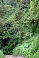 IMG_0292e