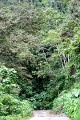IMG_0293e