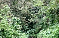 IMG_0294e