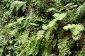 IMG_0295e