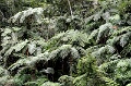 IMG_0296e