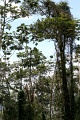 IMG_0297e