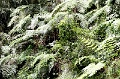 IMG_0298e