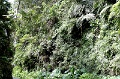 IMG_0299e