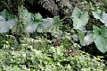 IMG_0300e