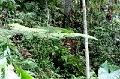 IMG_0301e