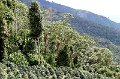 IMG_0313e