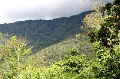IMG_0314e