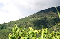 IMG_0315e