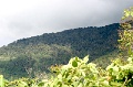 IMG_0316e