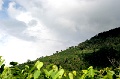 IMG_0317e