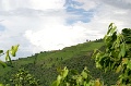 IMG_0318e