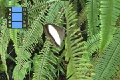 Scene_24_Oressinoma