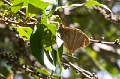 CRW_1420