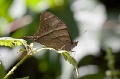 CRW_1437