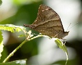 CRW_1440