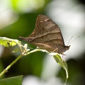 CRW_1441