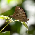 CRW_1444