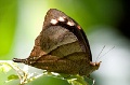 CRW_1445