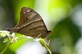 CRW_1448