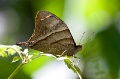CRW_1449