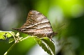 CRW_1451