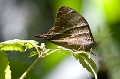 CRW_1452