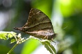 CRW_1454