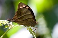 CRW_1460