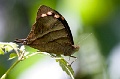 CRW_1461