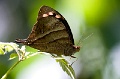CRW_1462