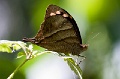 CRW_1463