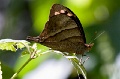 CRW_1464