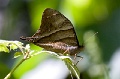 CRW_1465