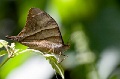 CRW_1466