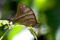 CRW_1467