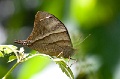 CRW_1468
