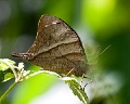 CRW_1469